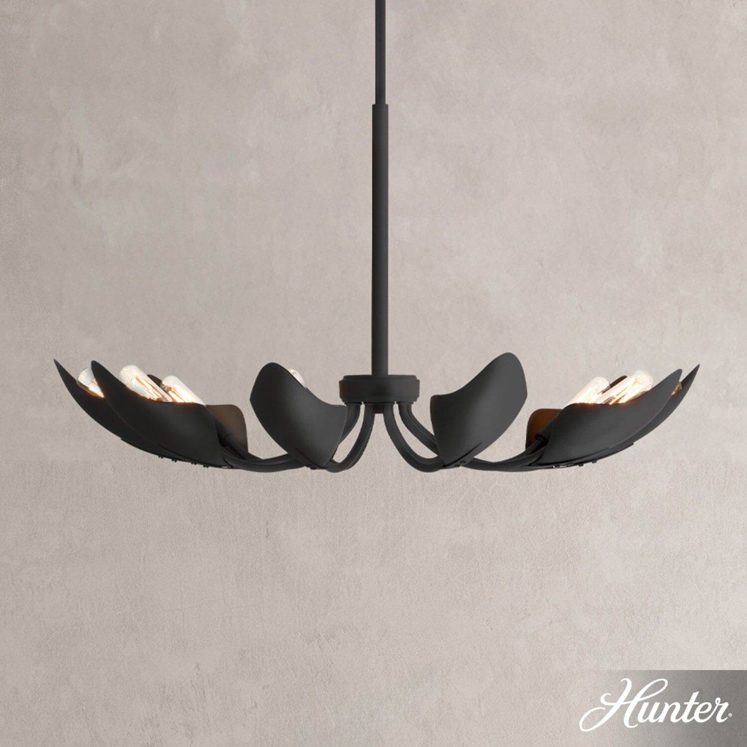 Juneway 10 Light Medium 28 Inch Chandelier