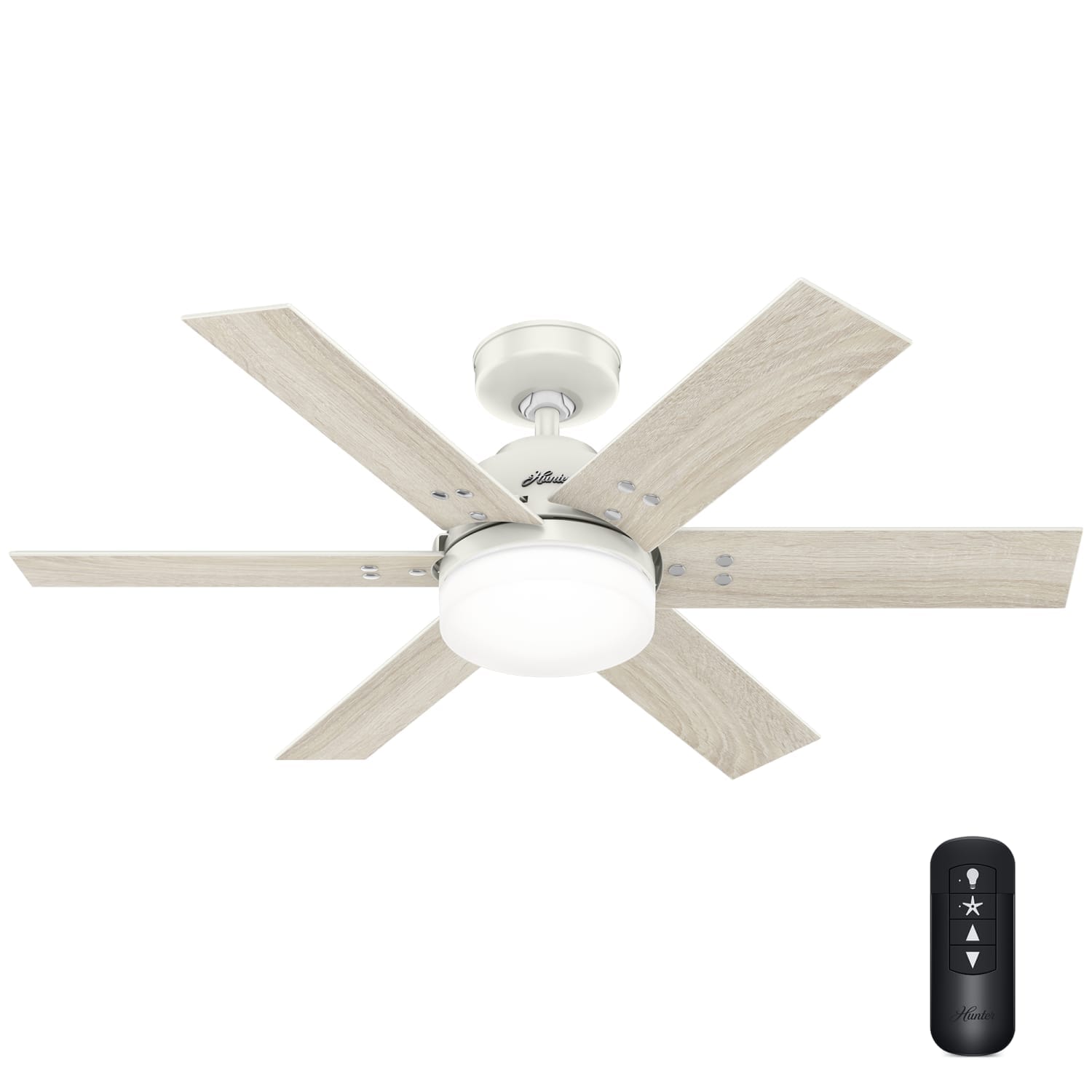 Pacer with LED Light 44 inch - Image 2