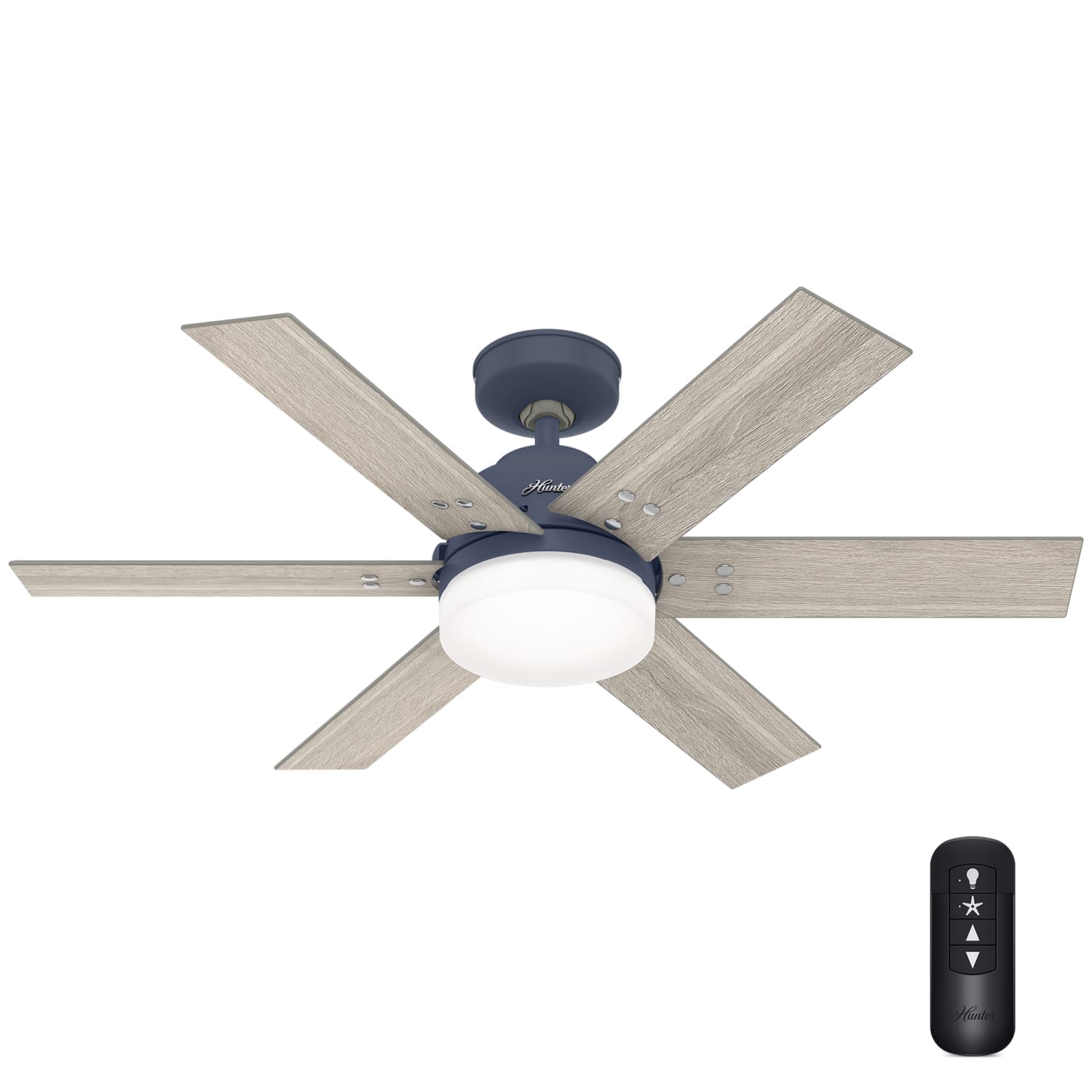 Pacer with LED Light 44 inch - Image 3