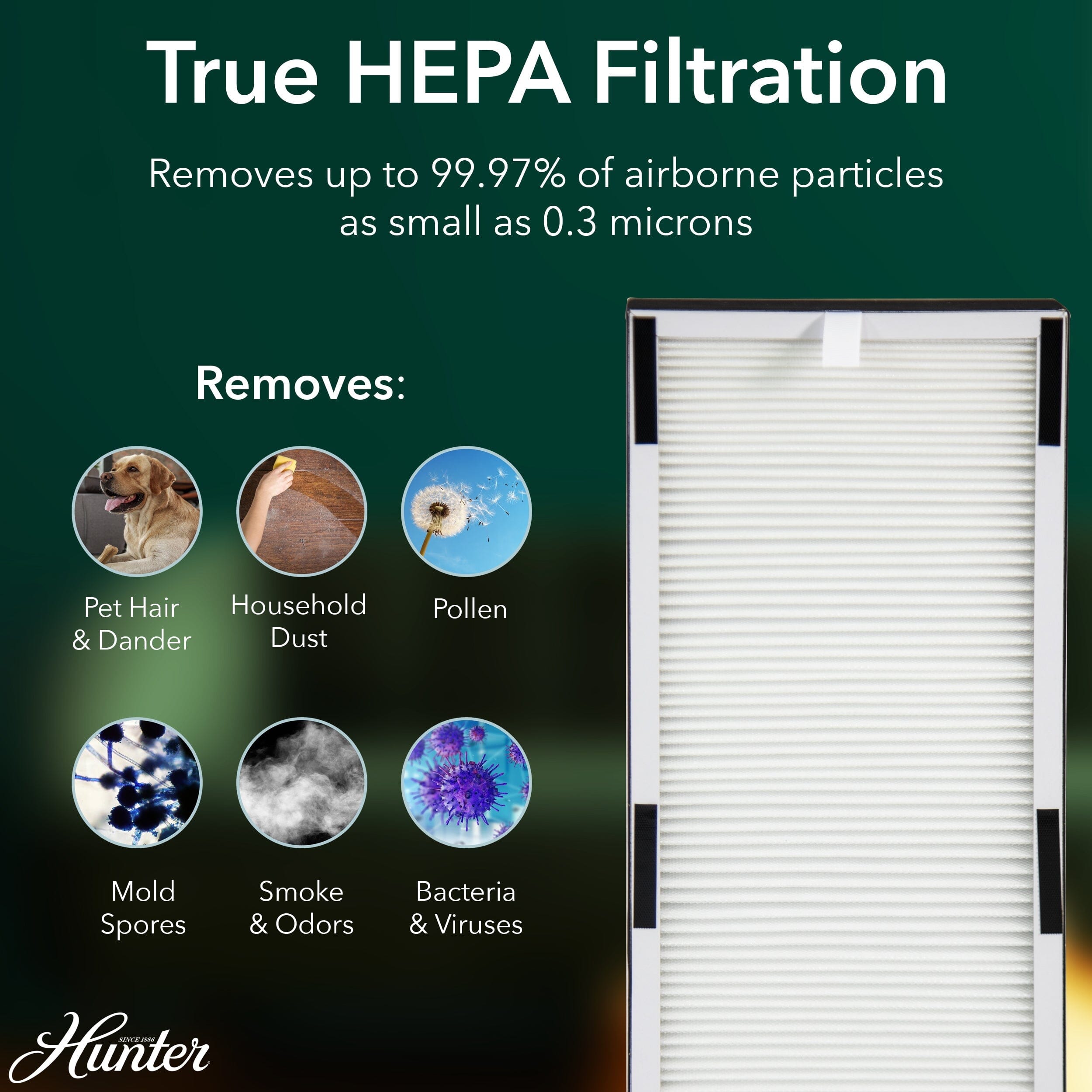 HP600 Tall Tower Air Purifier - Image 4